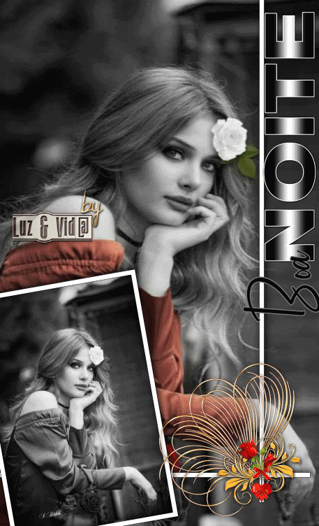 NOVO57-%2528MB%2529maryluz.gif