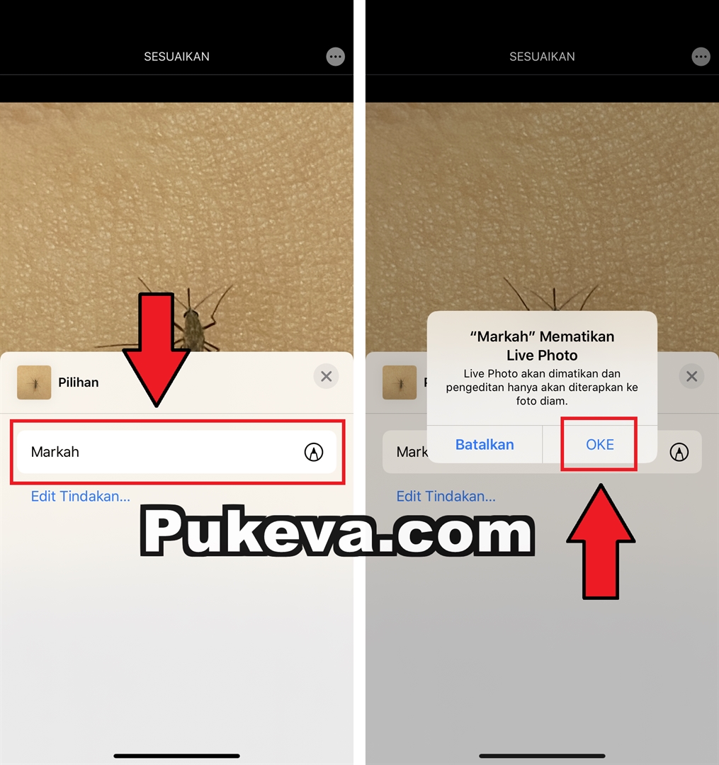 Cara Edit Foto Di Iphone Dengan Tulisan Coretan Tanda Markup Dll Tanpa Aplikasi Pukeva