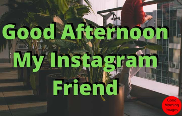 good afternoon wishes to friends good afternoon wishes to friends