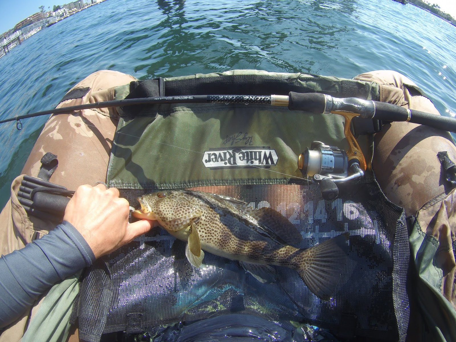 Newport Bay Spotted Bass Fishing Trip! Hunting the River King