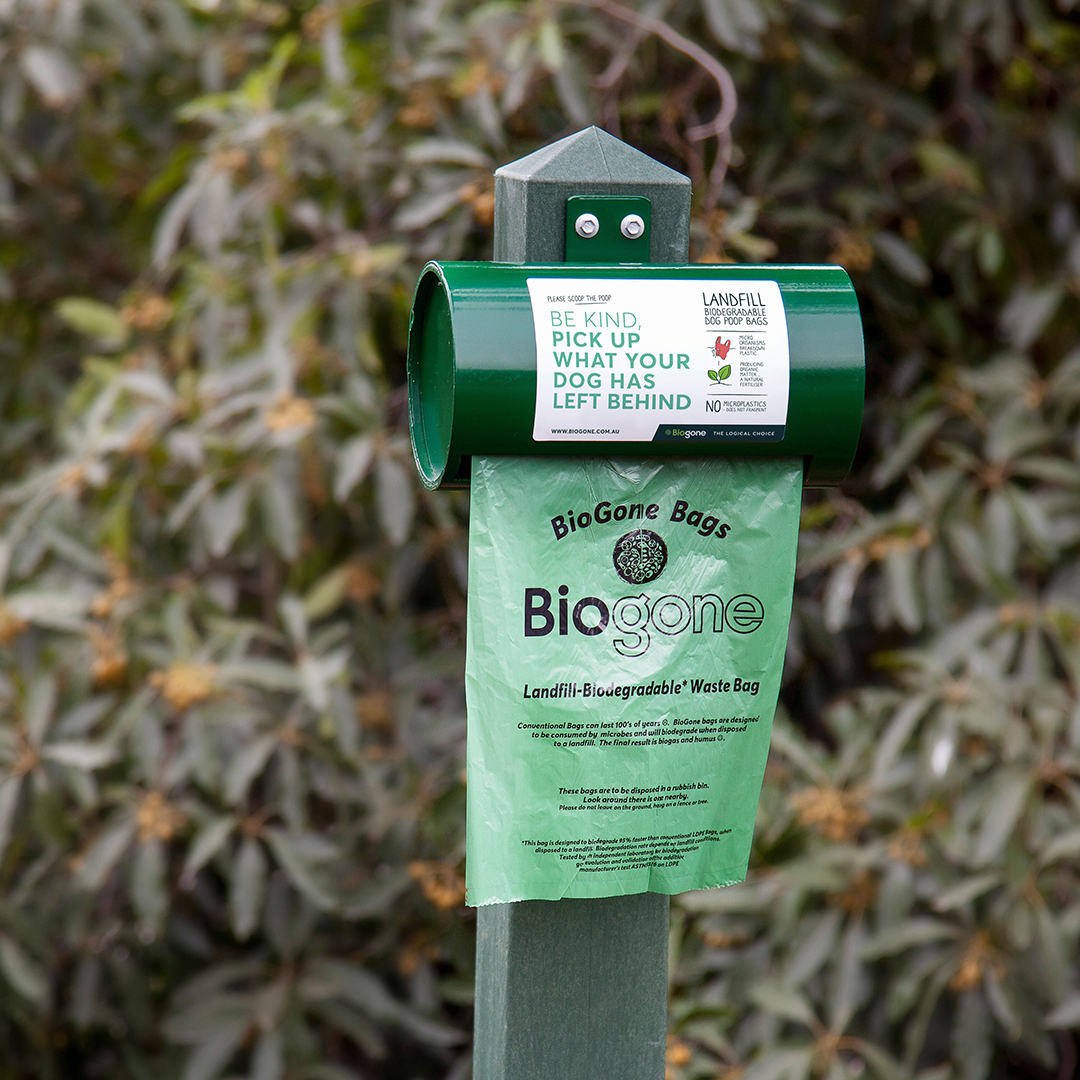 How Do You Dispose Of Dog Poop At Home