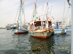 Fan Boats
