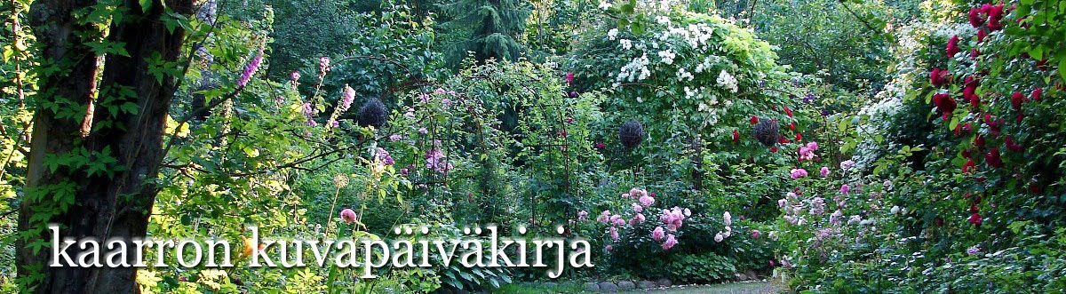 kaarron kuvapäiväkirja