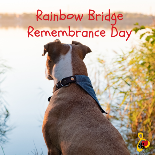 Rainbow Bridge Remembrance Day