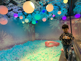 Party場地 - 超大海洋主題波波池