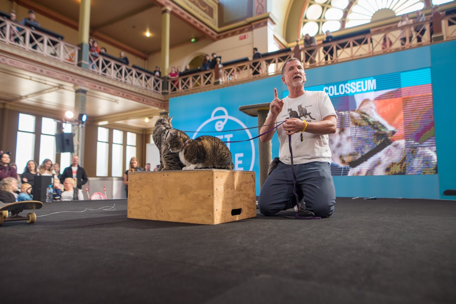 Melbourne Cat Lovers Show 2019 Nov 30Dec 1 Australian Cat Lover