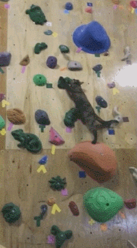 2.gif