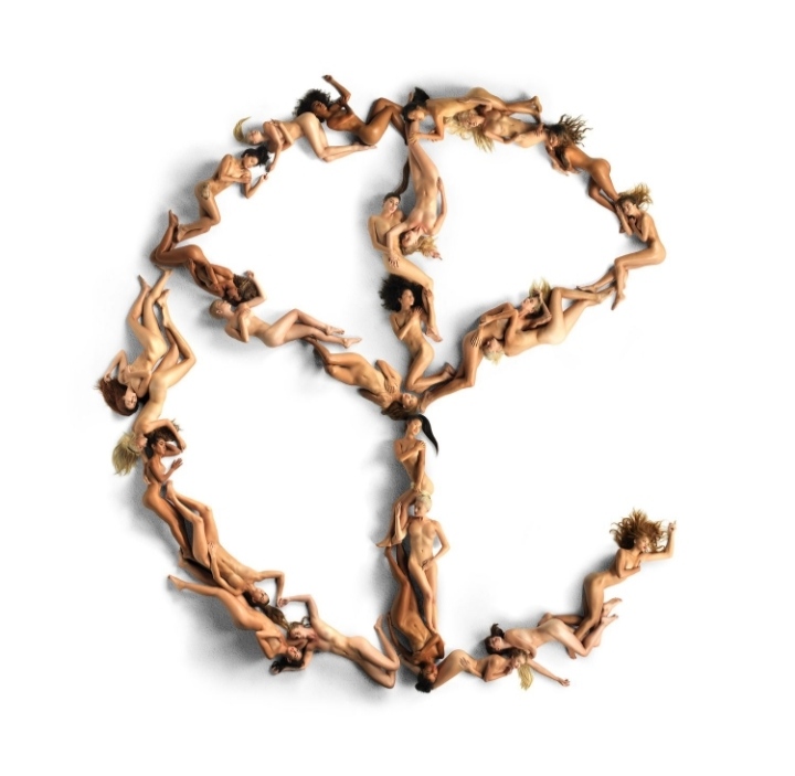 Download Kumpulan Album Yellow Claw Full Zip Google Drive