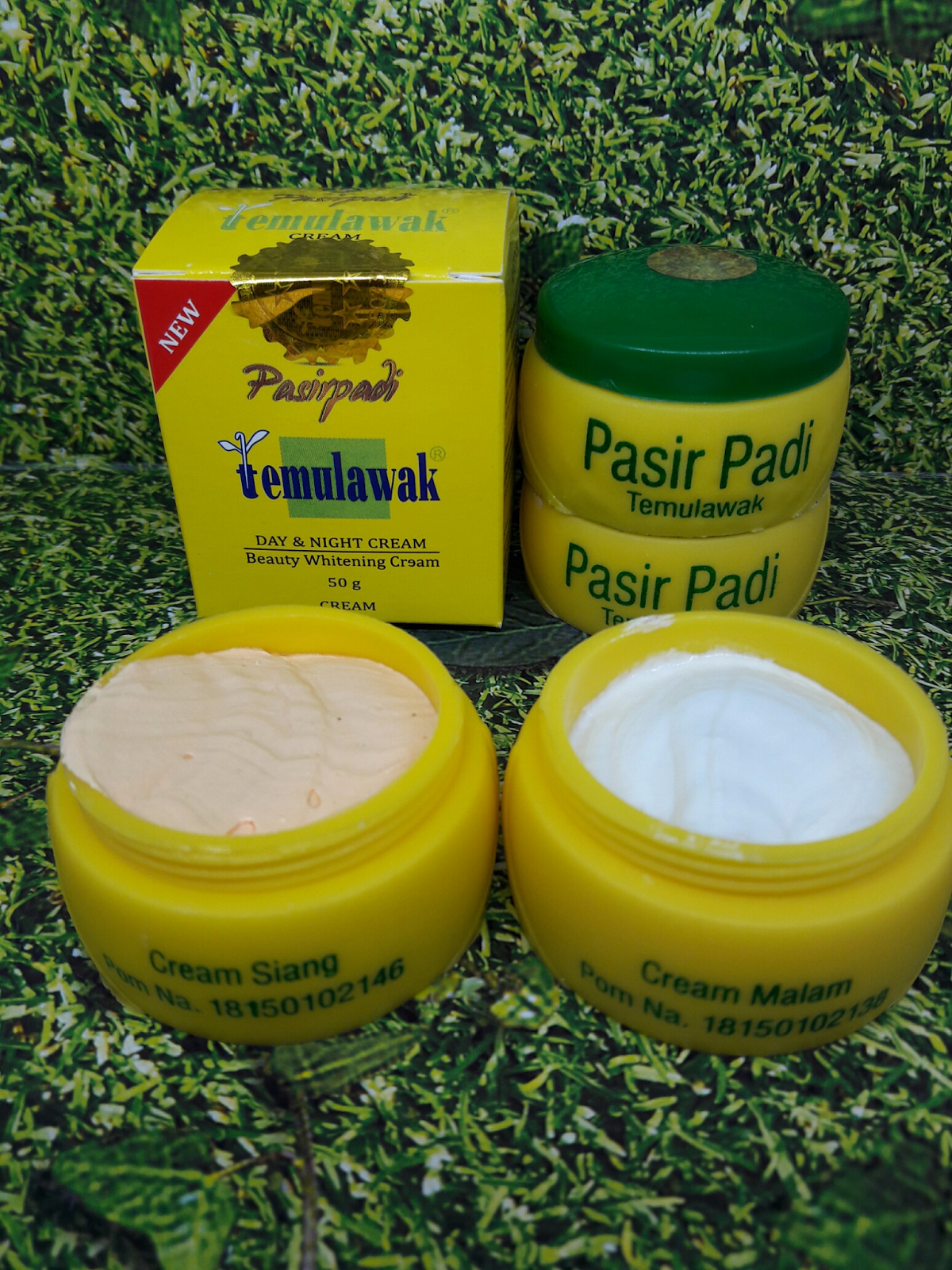 CREAM TEMULAWAK PASIR PADI WHATSAPP 08362459127
