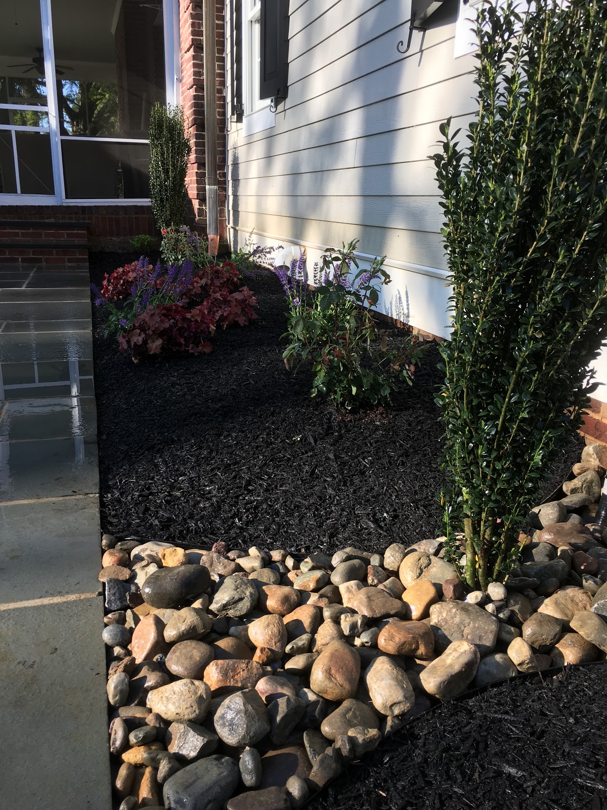 Large Shrub Archives Ramblings From A Desert Garden