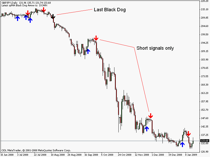 Dark web forex