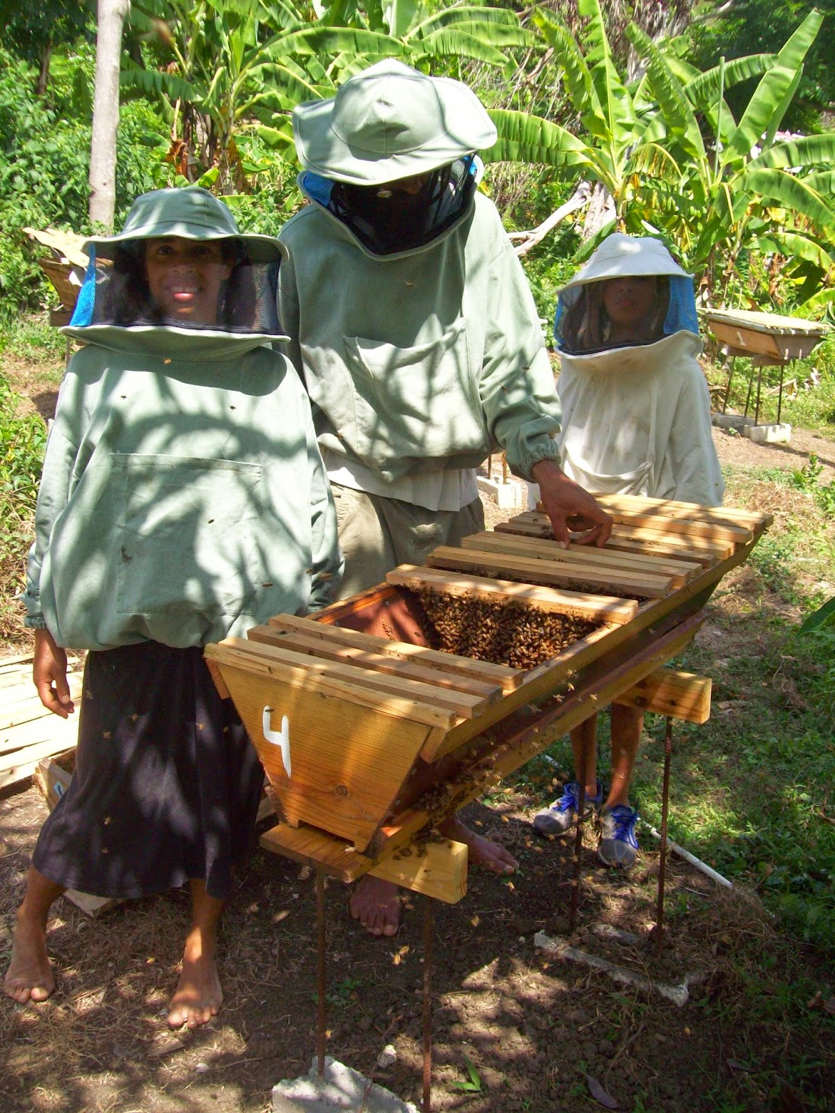 Reflexiones Sobre Apicultura Abriendo un camino a una apicultura