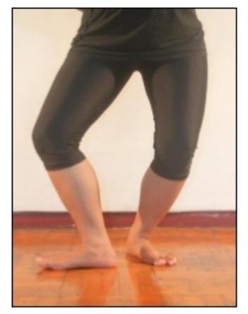 Ragam Gerak Tari Gambir Anom