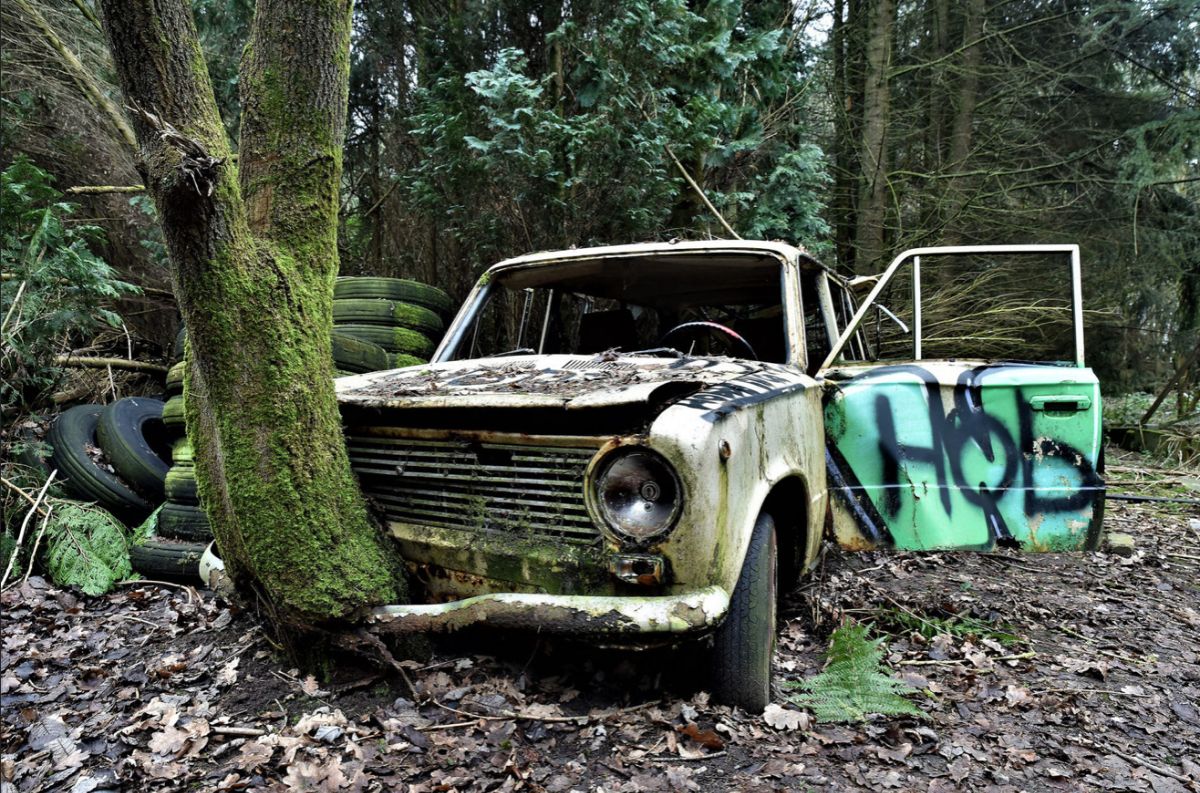 22 Amazing Photographs of Trees Growing Through Classic 22 Amazing Photographs of Trees Growing Through Classic