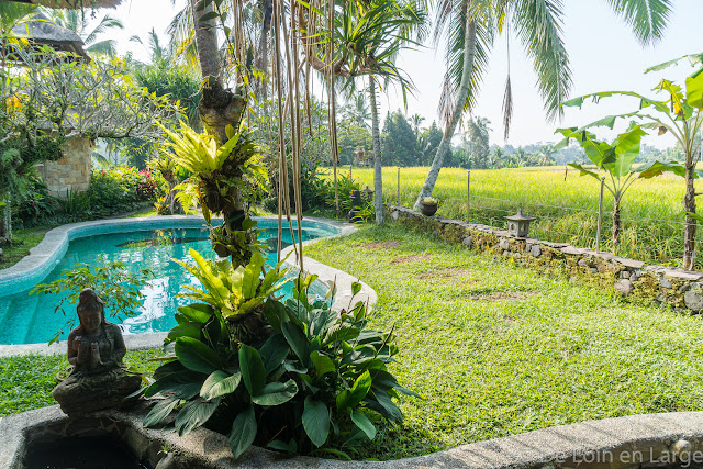 Saudara Home - Ubud - Bali