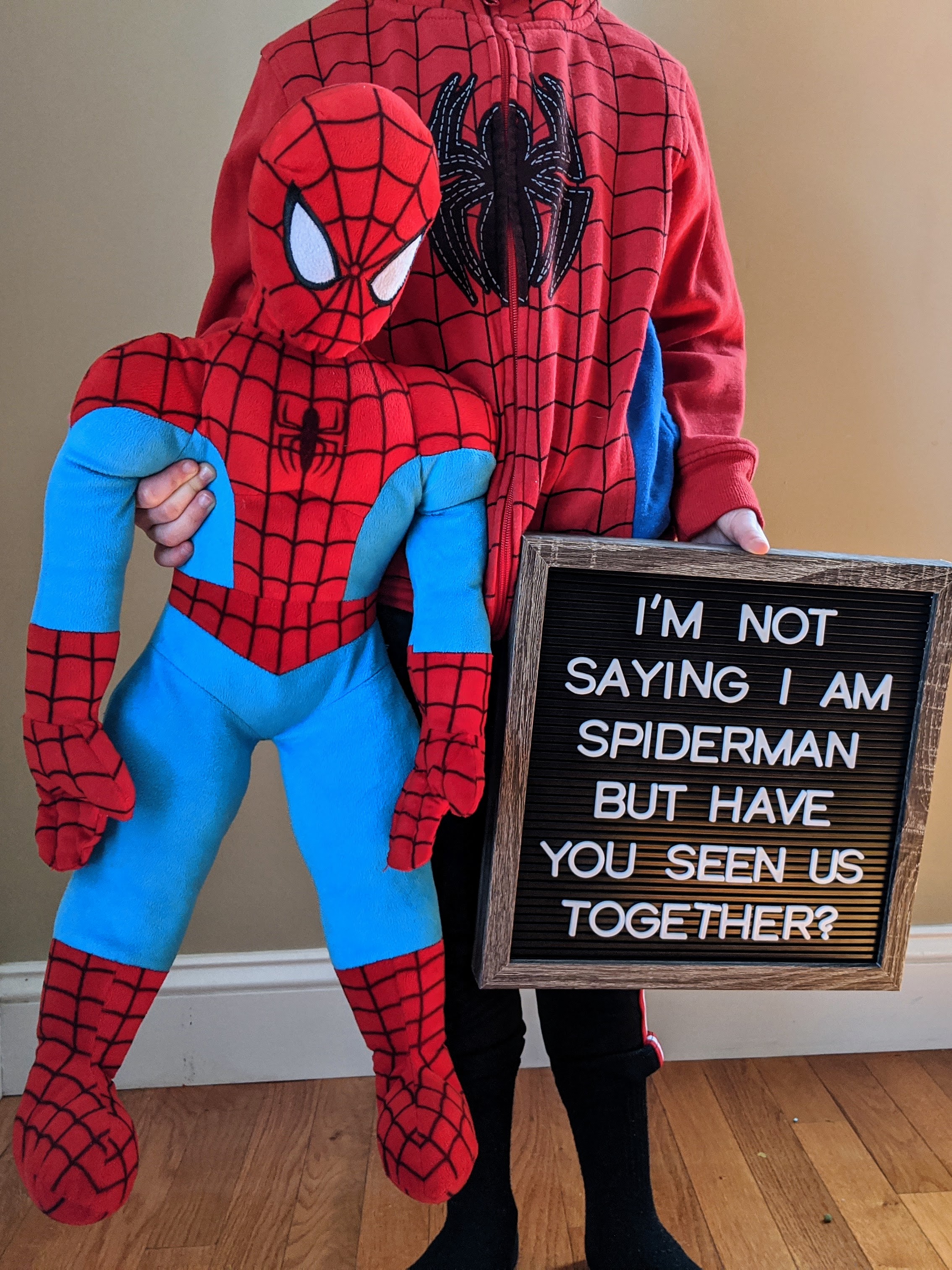 Spiderman Inspired Birthday Party