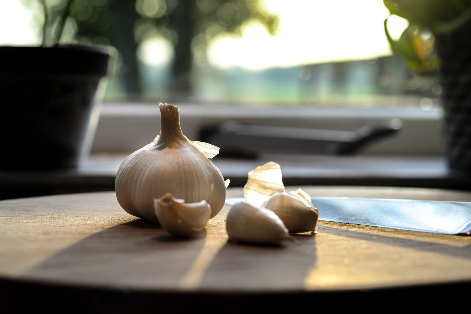 Advantages and Disadvantages of Garlic. Dude Health