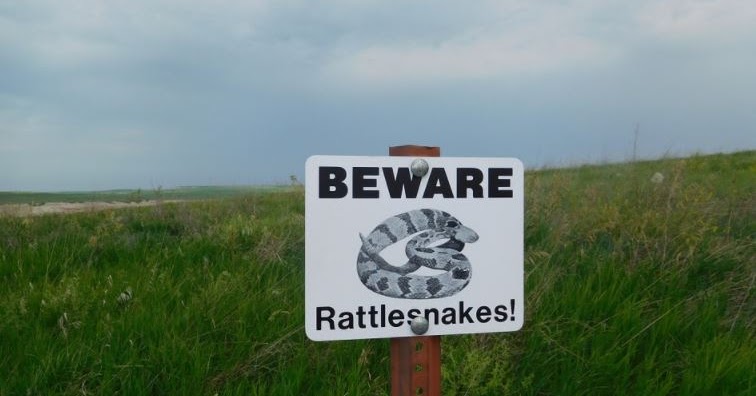 Bahasa Inggrisnya Awas - contoh kalimatnya dan artinya