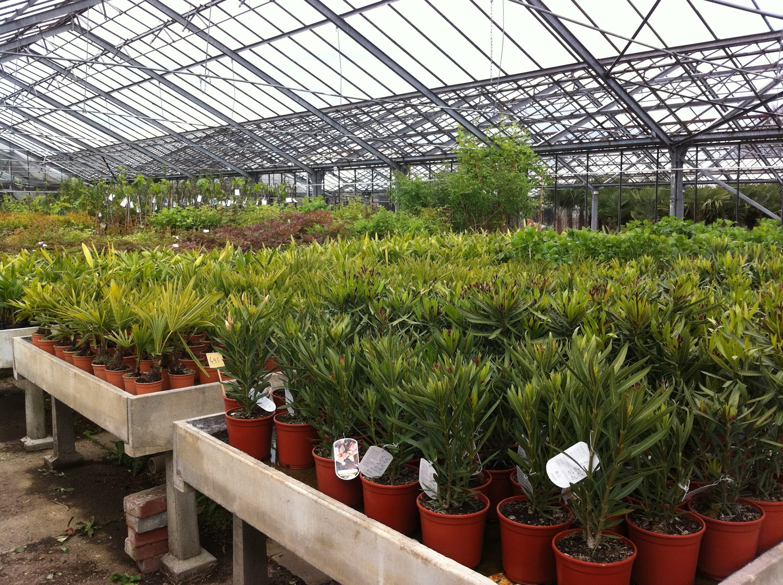 Bautagebuch & Blog: Allkauf Haus: Gartenplanung