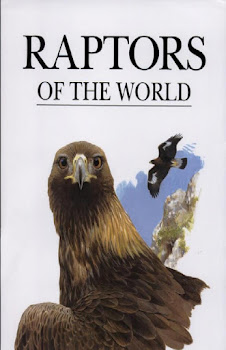 Raptors of the World_ an Identification Guide to the Birds of Prey of the World