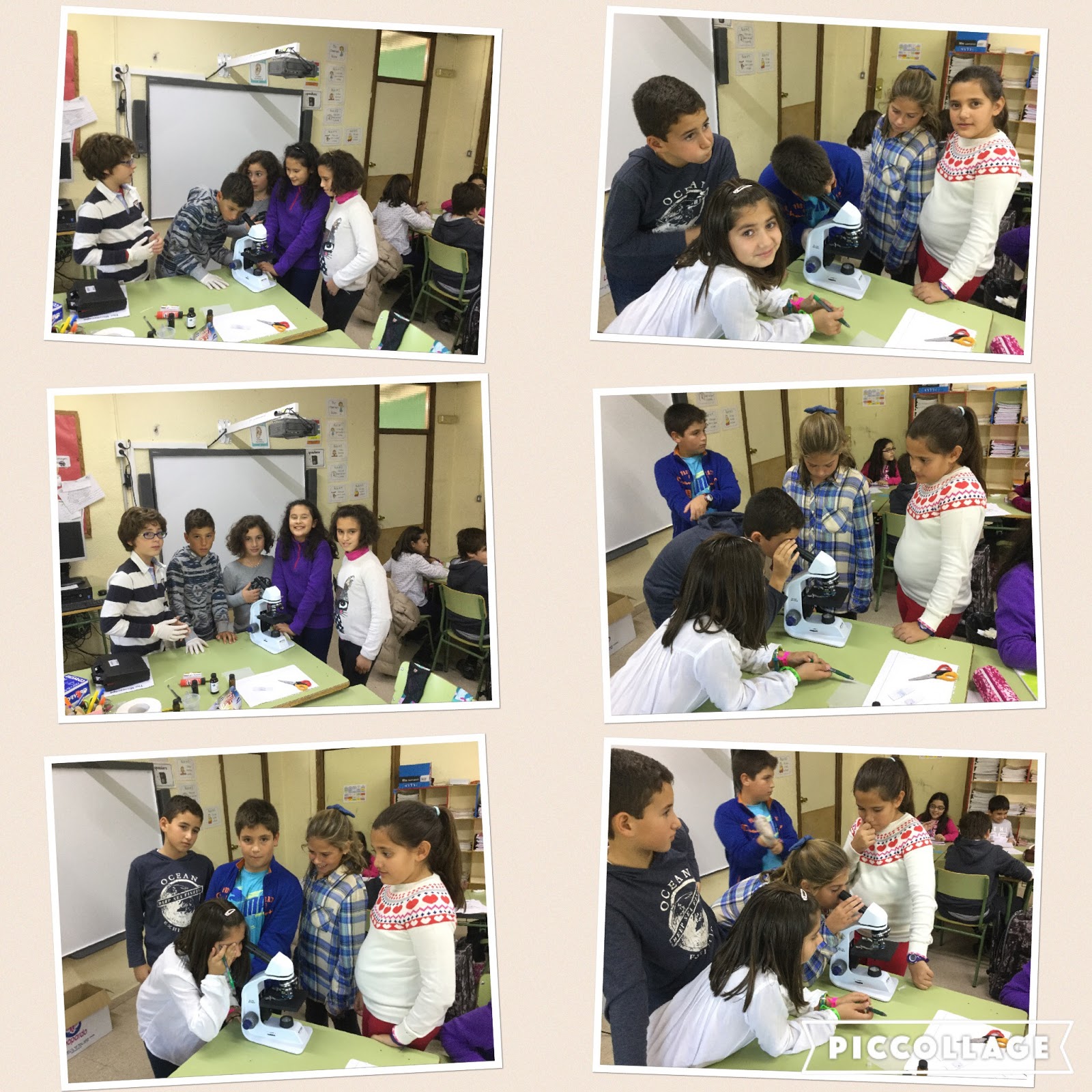 FSLOVENGLISH MICROSCOPES