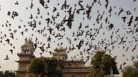 17 Best Places To Travel In Jaipur, India 17 Best Places To Travel In Jaipur, India