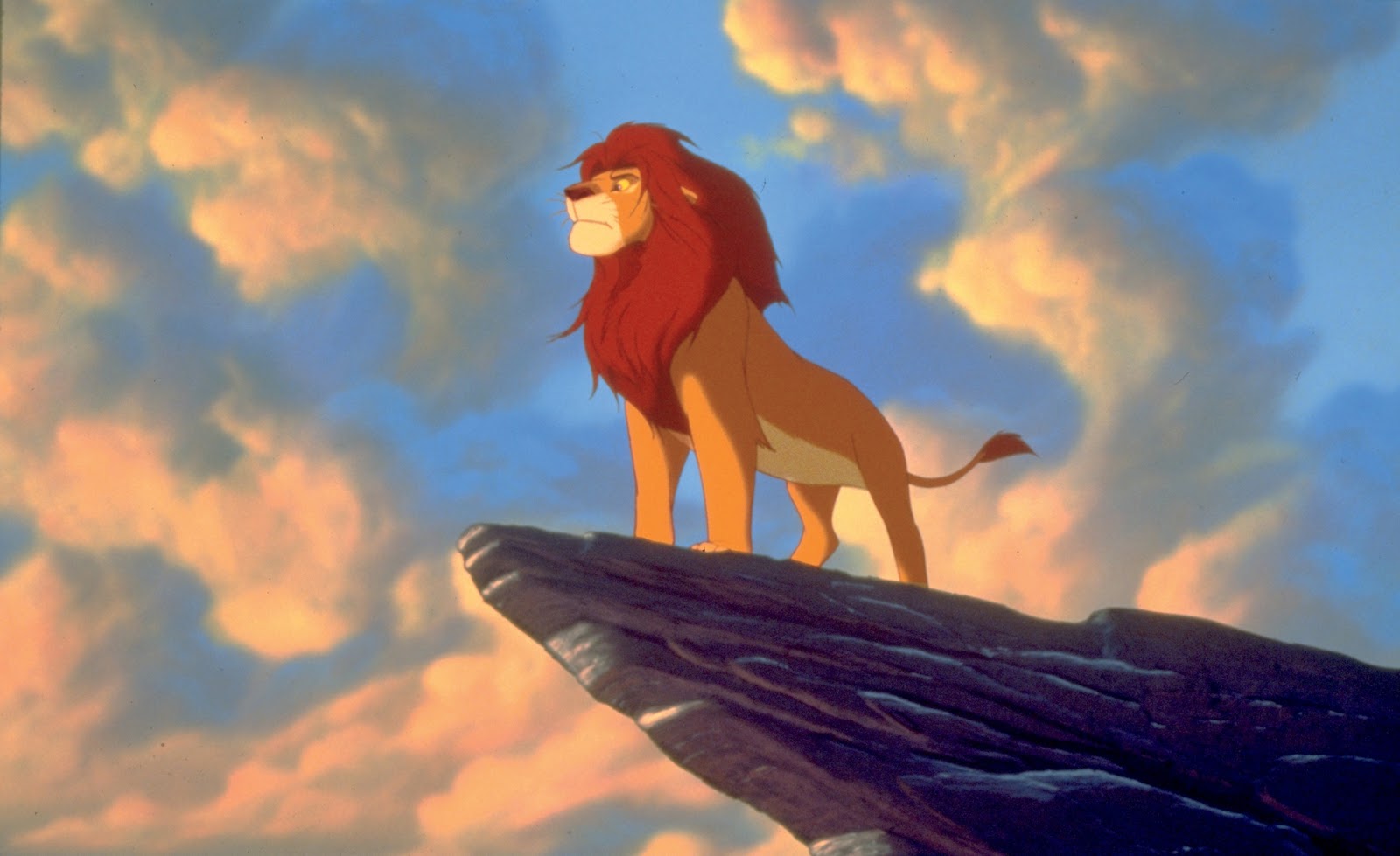 the hero's journey in lion king