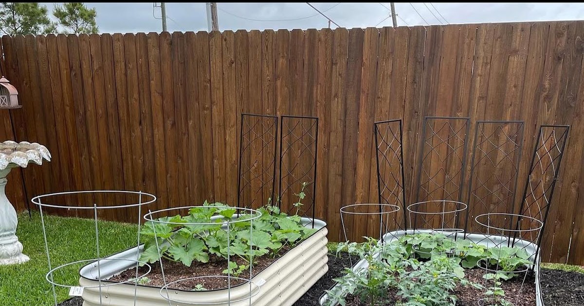 Vego Garden Eco Friendly Raised Garden Beds Essential Guidelines for