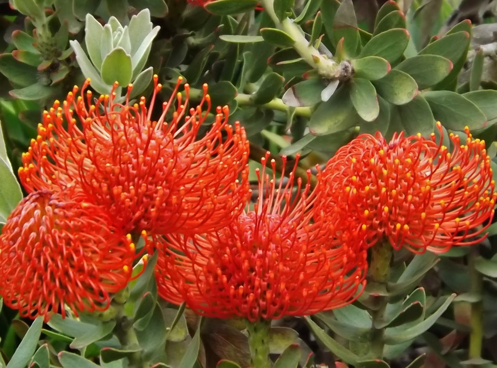 Outdoor Wednesday 230 San Francisco Zoo Plant Life