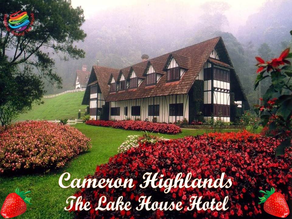 Best of Cameron Highlands Tourism, Malaysia