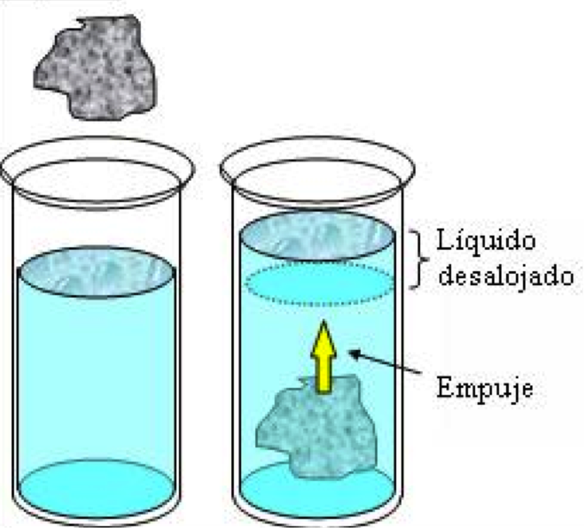 Aplicando Las Ciencias Ciencias naturales 4to año básico Aplicando Las Ciencias Ciencias naturales 4to año básico