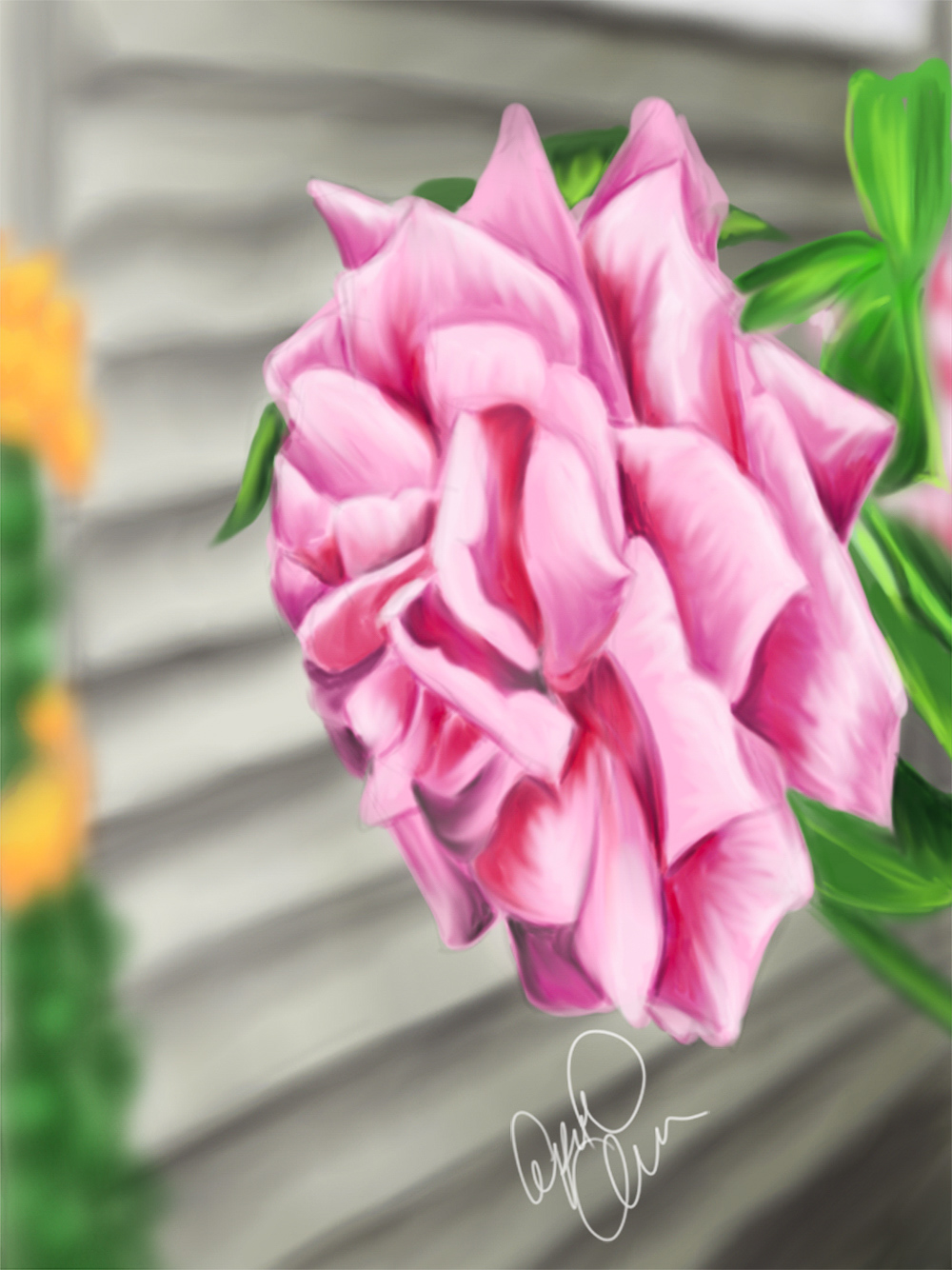 Pink Rose digital painting
