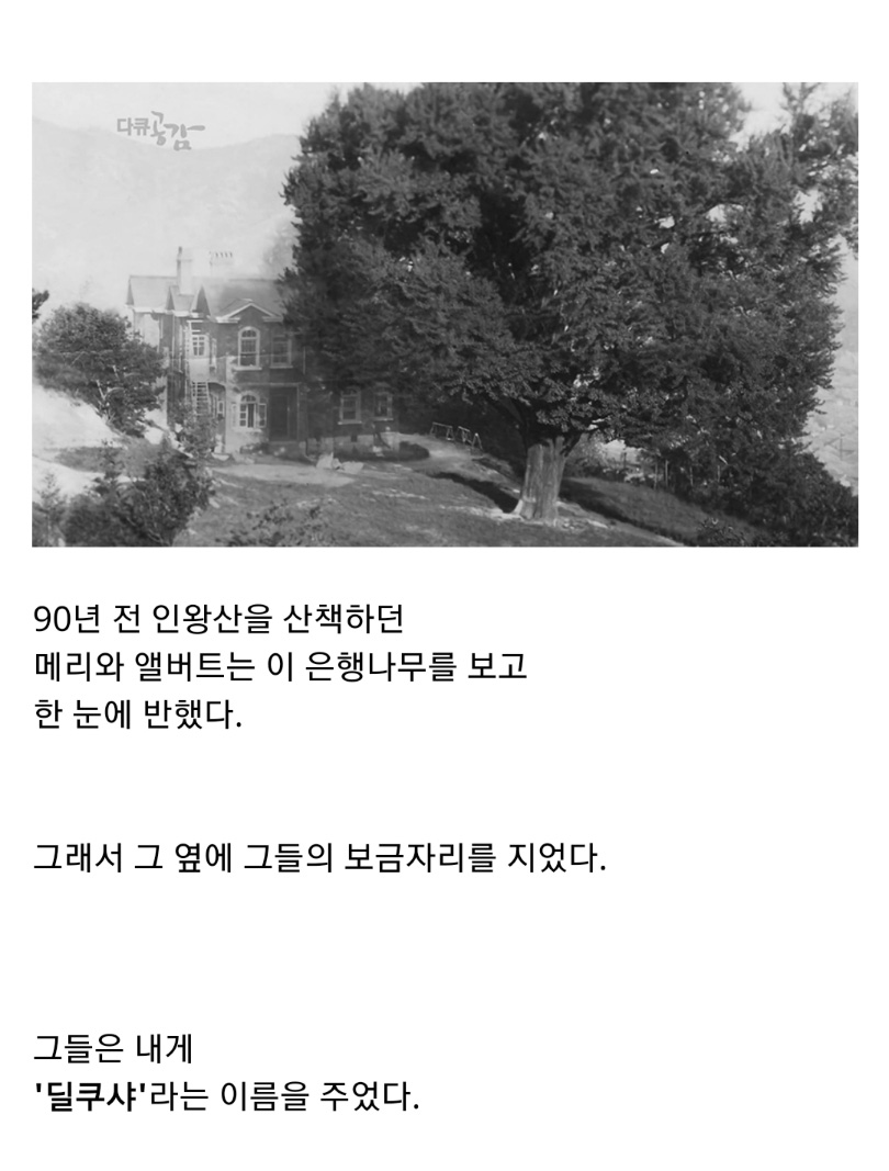 서울 한복판에 있는 미스테리한 건물 - 꾸르