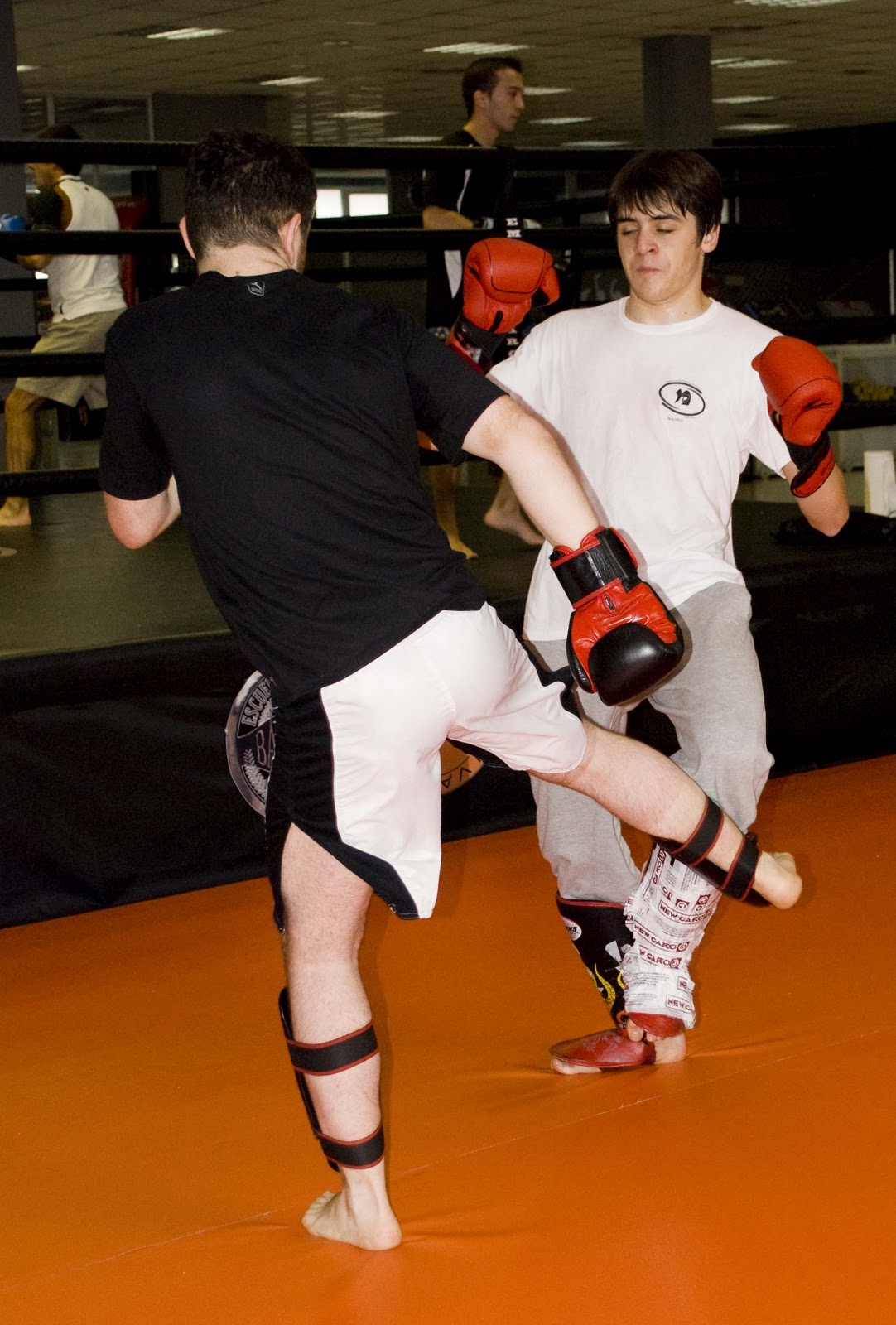 KRAV MAGA 01 MADRID afiliada a la FEKMRD Fotografías Seminario Muay Thai y Krav Maga, 19 /11/2.011