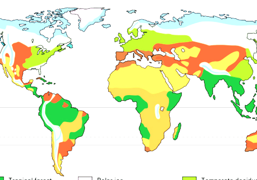 Temperate%2BRainforest%2B %2BTemperate%2BForest%2BMap 702375 