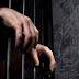 Pencuri Sawit Milik Warga Pasaman Barat Ditangkap Polisi