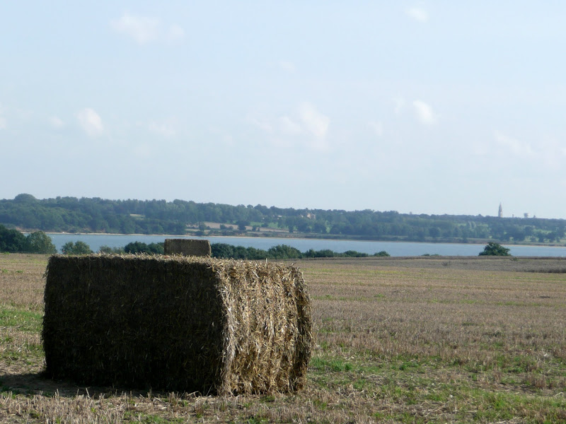 Overlooking the Stour estuary