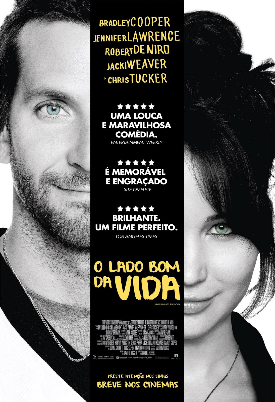 O Lado Bom da Vida (Silver Linings Playbook) Legendado 2012 DVDRip
