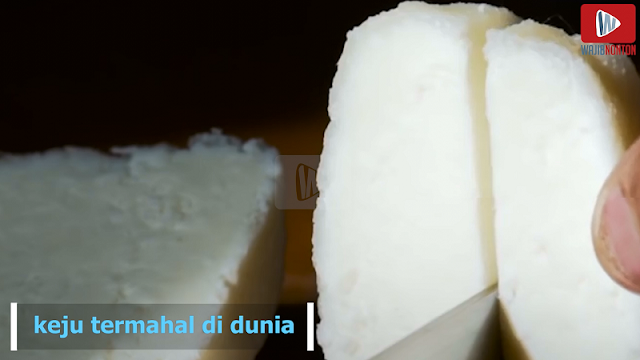 Ketahui Jenis Keju Termahal! Inilah Produk dari Keledai yang Luar Biasa Ketahui Jenis Keju Termahal! Inilah Produk dari Keledai yang Luar Biasa