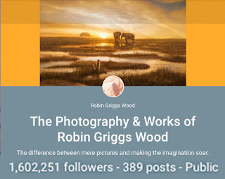 Robin Griggs Wood Collection