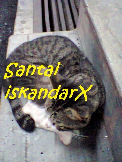 iskandarx.blogspot.com, Belang Tarung lepak selepas selesai dinner, santai, flat ijau, balik pulau, belang tarung