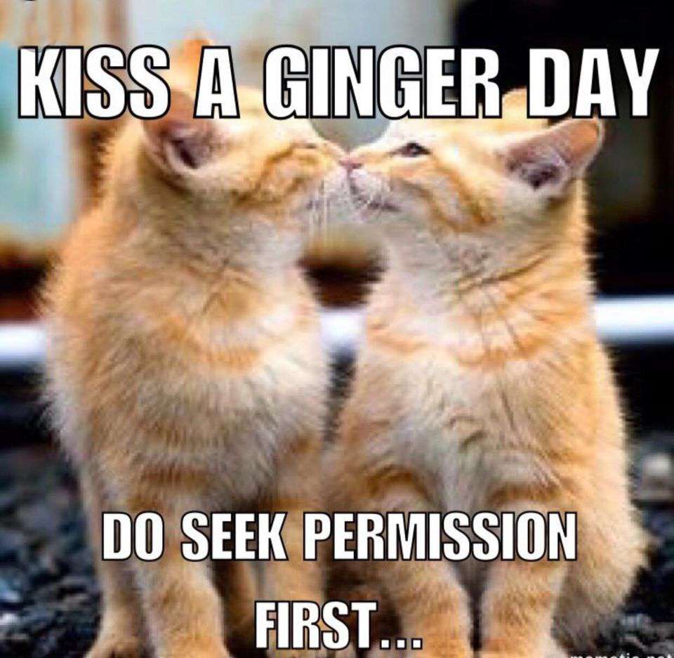 Kiss a Ginger Day Wishes Pics