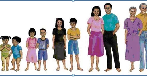 Seputar Pendidikan Materi IPA Kelas 6 Pertumbuhan Dan