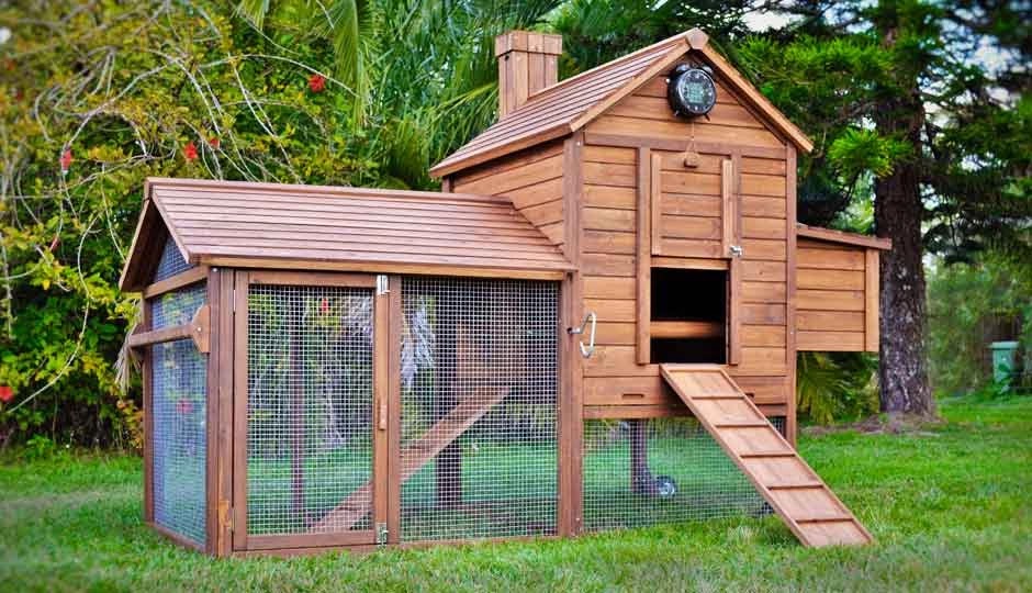 Buying a chicken coop The essential qualities to count on