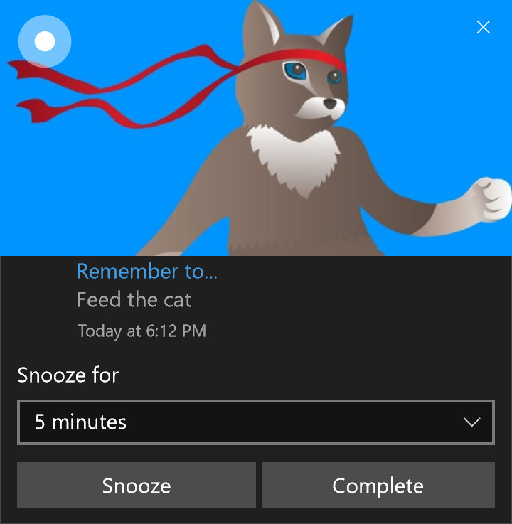 Cat microchipping. Ателье инфографика. Go kitty go текст. Did you remember feed the cat today. Какой вы сегодня кртик.