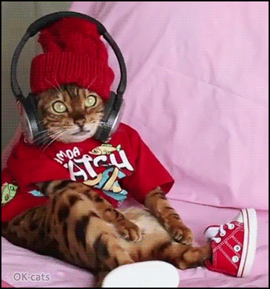 Amazing Cat GIF • Bengal cat dressed up like human groovin' to the music, so funny and cute kitty. Amazing Cat GIF • Bengal cat dressed up like human groovin' to the music, so funny and cute kitty.
