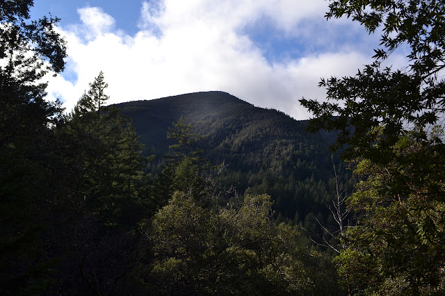 Mount Saint Helena