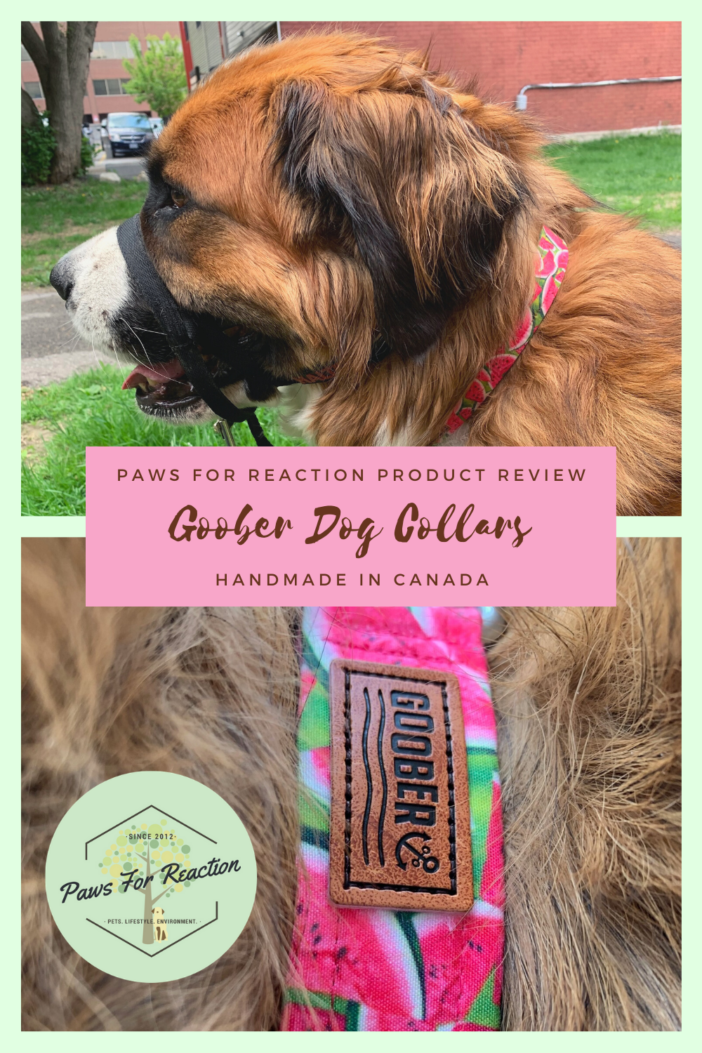 goober collars