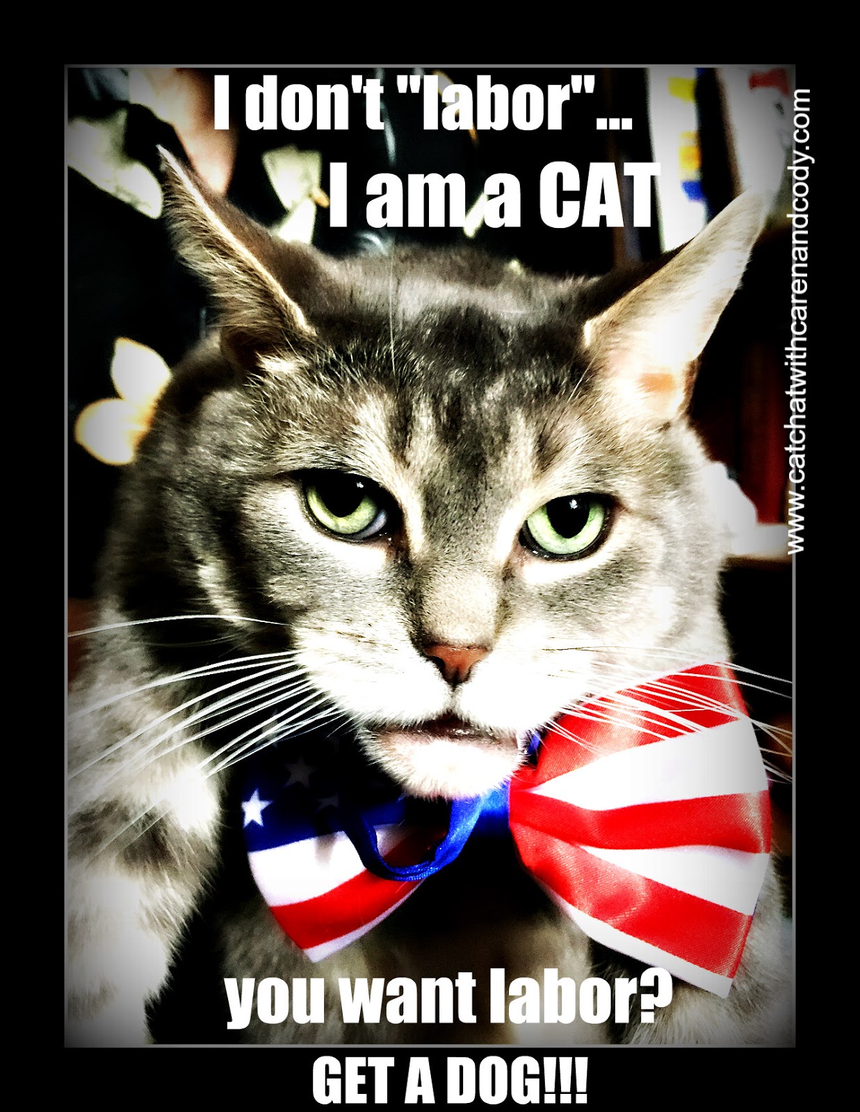 Cat Chat With Caren And Cody A Cat s View Of Labor Day Cat Chat With Caren And Cody A Cat s View Of Labor Day