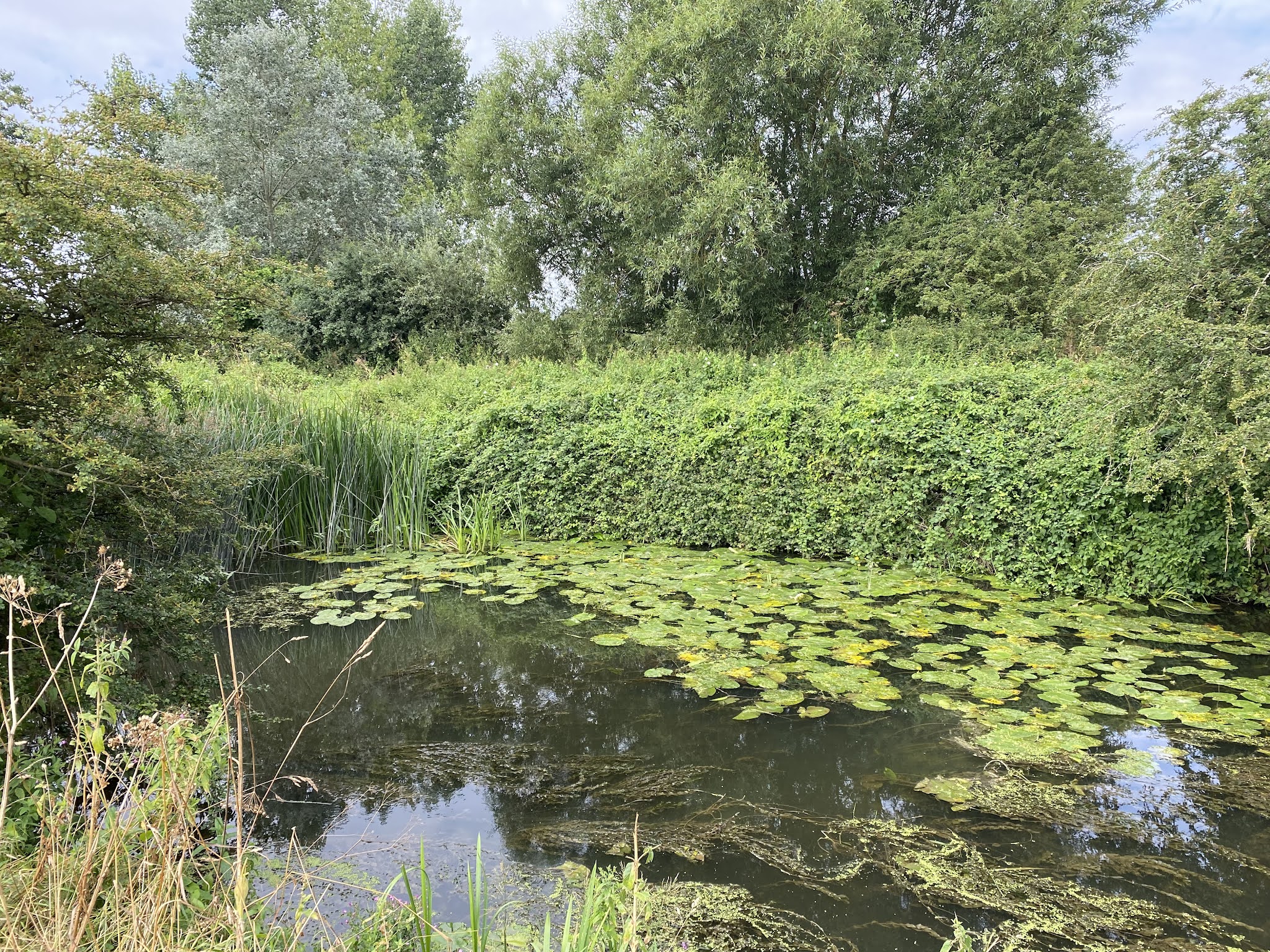 aliwalks Gretton, Thorpe by Water, Lyddington, Caldecott.
